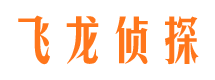 集贤市调查公司